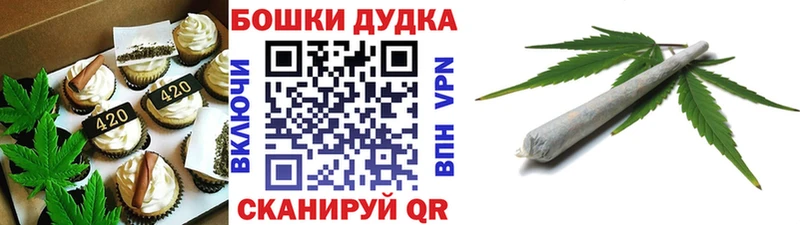 где можно купить   MEGA сайт  Canna-Cookies конопля  Нестеров 