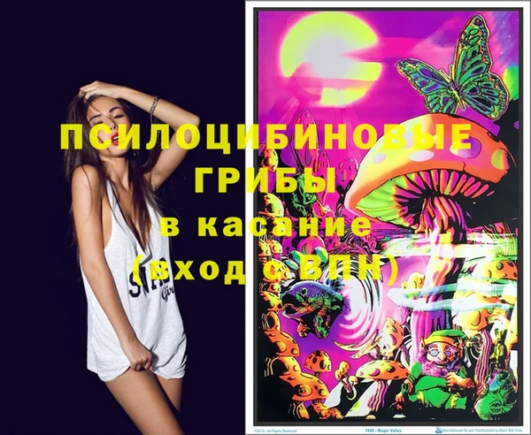 стафф Алзамай