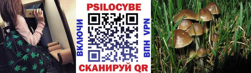 Псилоцибиновые грибы ЛСД Нестеров